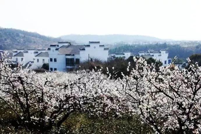 坎耶29岁妻子穿半透明雨衣出行,好身材若隐若现,似翻版卡戴珊